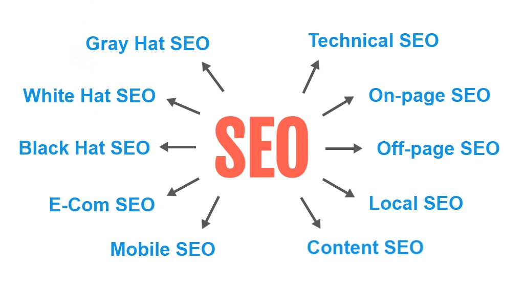 What Is SEO: Search Engine Optimization? Types Of SEO And Its ...